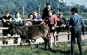 A-TN-Bild 8